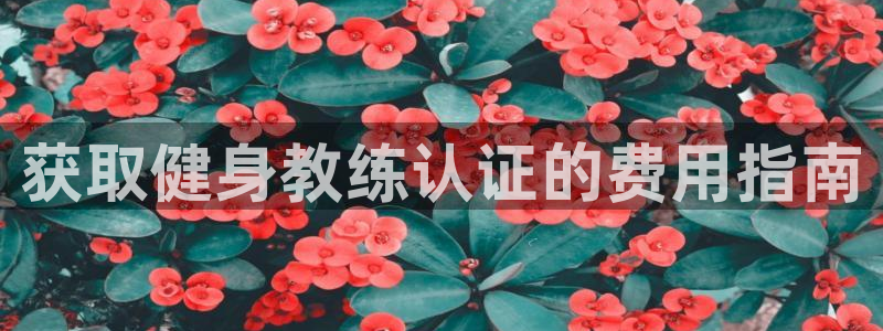 意昂2平台