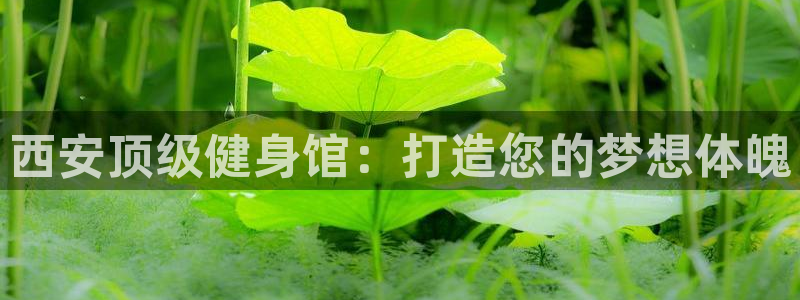 意昂2平台