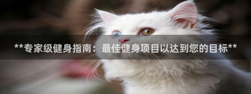 意昂2招商