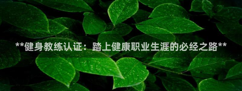 意昂2平台