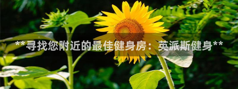 意昂2代理