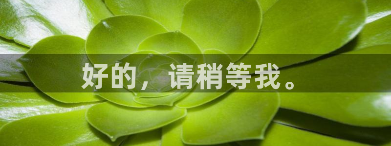 意昂2娱乐
