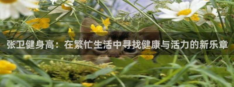 意昂2代理